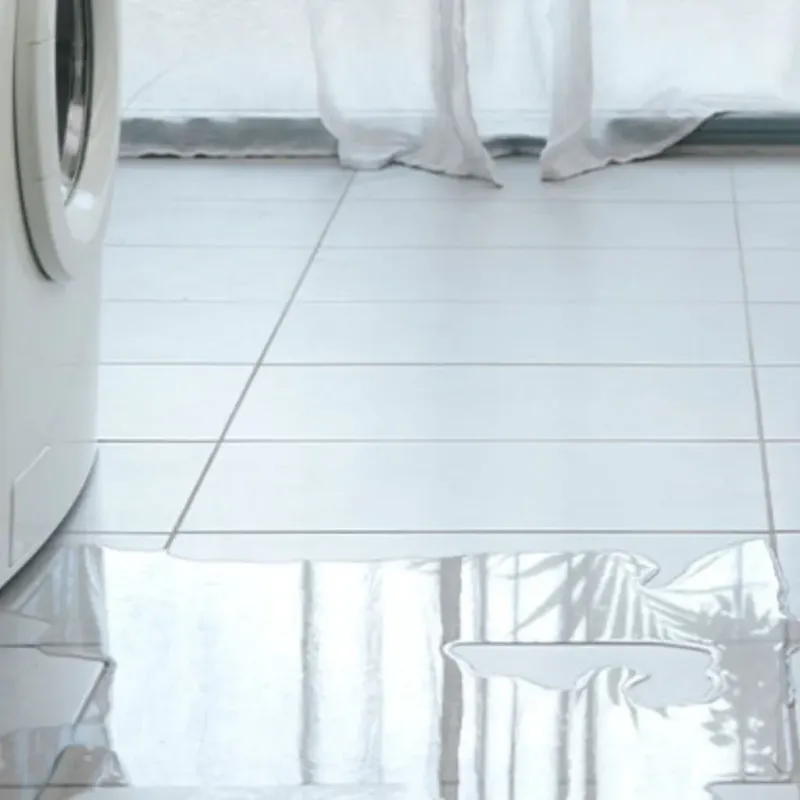 Appliance Leak Cleanup in Olathe, CO